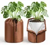 Eikuavons Protection hivernale pour palmiers, lot de 2, Voir les images du produit 1