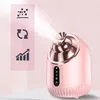 Appareil à vapeur pour le visage Vaporisateur facial Voir les images du produit 9
