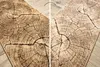 Tapis de couloir KARMEL Tronko Arbre Bois noix  100 cm Voir les images du produit 4
