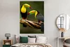 MuchoWow® Poster Vögel - Tukan - Zweig - Tiere - Regenbogen Produktbild-Vorschau 4