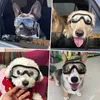 Hundebrille, Haustier-Sonnenbrille, wasserdicht, winddicht, Produktbild-Vorschau 5