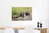 MuchoWow® Poster Flusspferde - Wasser - Südafrika 60x40 cm Produktbild-Vorschau 6