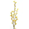 Forsythien-Zweig Produktbild-Vorschau 3