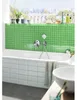 Hansgrohe Isiflex-Brauseschlauch DN 15 (1/2")x 1600mm mit Produktbild-Vorschau 15
