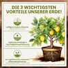 Green Home Zitruserde 72 L – für Zitruspflanzen & Produktbild-Vorschau 3