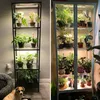 50CM LED Pflanzenlampe für Zimmerpflanzen Led Sonnenlicht Produktbild-Vorschau 3