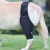 A dog wearing a black leg brace on its hind leg, standing on grass. Produktbild-Vorschau