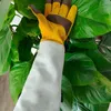 Garten Geschenke - Gartenhandschuhe Dornenfest Produktbild-Vorschau 3