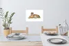 MuchoWow® - Wierderverwendbar - Selbstklebend Produktbild-Vorschau 1