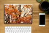 MuchoWow® Laptop Aufkleber Sticker Cover Wald - Herbst - Produktbild-Vorschau 2