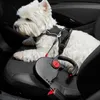 Dogxi Laisse pour chien Laisse à enrouleur 5 m Chien 25 kg Voir les images du produit 3