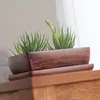 Blumenschale Blumentopf Untersetzer Sukkulenten 29 cm Produktbild-Vorschau 4