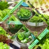 20 Stück Schneckenschutzring Set, Schneckenschutz Produktbild-Vorschau 6