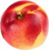 Zwergnektarine Prunus persica nucipersica Stämmchen 100–120 Produktbild-Vorschau 1