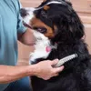 Elektrischer Kamm zur Tierhaarentfernung, Hundepflegekamm, Produktbild-Vorschau 4