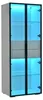 Szafka ekspozycyjna o wymiarach 60 x 40 x 160 cm z Podgląd zdjęcia produktu 14