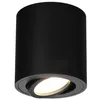 A black cylinder-shaped ceiling light with a light source visible at the bottom. Anteprima dell’immagine prodotto