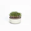 Plastia Urbalive Keimsprosskit für Microgreens, Elfenbein Produktbild-Vorschau 8