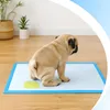 Trainingspads Welpenunterlagen für Hunde, Hygienische Pee Produktbild-Vorschau 6