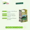 CUXIN DCM Stauden- & Bodendeckerdünger 1,5 kg Produktbild-Vorschau 6