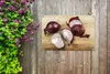 MuchoWow® Produktbild-Vorschau 5
