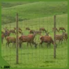 Forstzaun - Wildzaun - 200/21/10 Gruen, 200 cm Hoehe, Produktbild-Vorschau 6