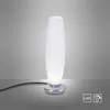 Paul Neuhaus 4027-55 Tyra Lampada da tavolo a LED + dimmer Anteprima dell’immagine prodotto 11