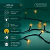 Luci fiabesche a LED Lumineo Anteprima dell’immagine prodotto 5