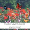 Schmetterlingswiese Samen für eine bunte Blumenwiese - Produktbild-Vorschau 10