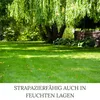 HEGA Grasland Rasensamen Grassamen Berliner Tiergarten Produktbild-Vorschau 5