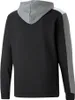 Puma Sweatshirts Ess Block Hoodie TR, 84742801, Größe: 170 Produktbild-Vorschau 2