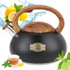 Klausberg KB 7565 Pískací konvice, 3 l, Silnostěnné dno, Náhled obrázku produktu 9