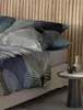 Irisette Flausch-Baumwolle Bettwäsche-Garnitur Zobel 8553  Produktbild-Vorschau 4
