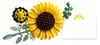 LEGO Botanicals Bouquet de Tournesols 11502 Jeu de Voir les images du produit 28