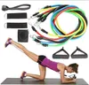 SET 11 pezzi booster GR Anteprima dell’immagine prodotto 2