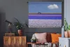 MuchoWow® Wandteppich Wandbehang Tulpenfeld 150x112 cm Produktbild-Vorschau 5