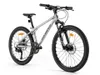 ROCKBROS Darwin 24 Zoll Mountainbike 9 Gang Shimano Produktbild-Vorschau 5