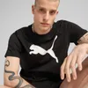 Puma Ess Kurzarm-t-shirt Schwarz M Herren,Damen Schwarz M Produktbild-Vorschau 8