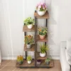 A multi-tiered plant stand with various potted plants on each shelf, placed indoors against a white wall. Náhled obrázku produktu