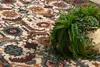 Wollteppich SUPERIOR OMAN orientalisch Rahmen rot Produktbild-Vorschau 5