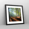 Gerahmtes Poster - Schwarzer Rahmen - Wald Blätter Sonne - Produktbild-Vorschau 8
