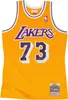 Basketbalový dres Mitchell & Ness Los Angeles Lakers #73 Náhled obrázku produktu 5
