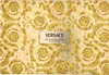 A close-up of a gold and white patterned box for Versace Eros Pour Femme Eau de Parfum. Voir les images du produit