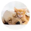 Popsockets 2 Cat & Dog 70082 Supporto per telefono e Anteprima dell’immagine prodotto 6