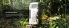 A portable air conditioner is placed in a forest setting, surrounded by ferns and trees. Produktbild-Vorschau