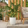 A large potted plant sits on a patio next to outdoor furniture and lanterns. Náhled obrázku produktu
