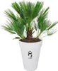 elho loft urban Rund Hoch 35 Übertopf - weiss Produktbild-Vorschau 2
