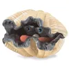 Folkmanis Handpuppe Große Muschel 3067 Produktbild-Vorschau 4