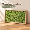 Islandmoos 500 g in über 30 Farben, konservierte Produktbild-Vorschau 1