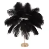 Lampa stołowa Feather 3 kolory Ściemnialny przełącznik Podgląd zdjęcia produktu 2